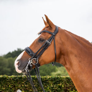 Dy'on New English Patent Large Crank Noseband Double Bridle