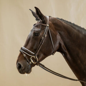 Dy'on Working Collection Patent Large Crank Noseband Bridle With White Padding And Flash