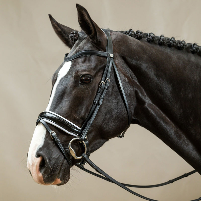 Dy'on Patent Large Crank Noseband Bridle With White Padding And Flash 1 Dy'on Working Collection Patent Large Crank Noseband Bridle With White Padding And Flash
