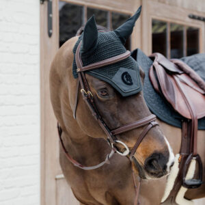 Dy'on collection Plaited Flash Noseband Bridle Brown