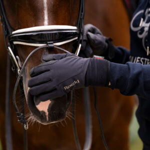 Roeckl Winsford Winter Riding Glove