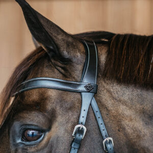 Working Collection Bitless Bridle