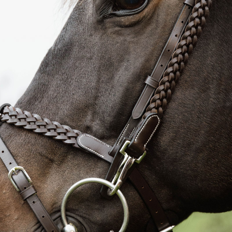 Dy'on Working Collection Plaited Training Bridle 4 Working Collection Plaited Training Bridle