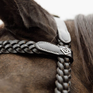 Working Collection Plaited Training Bridle