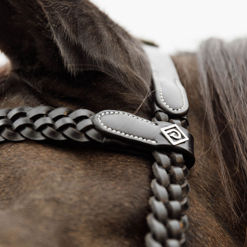 Dy'on Working Collection Plaited Training Bridle 3 Working Collection Plaited Training Bridle