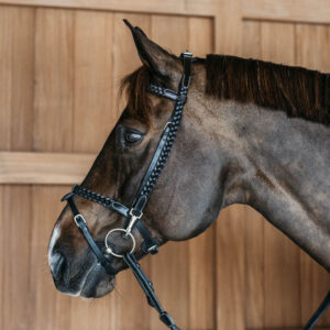 Working Collection Plaited Training Bridle
