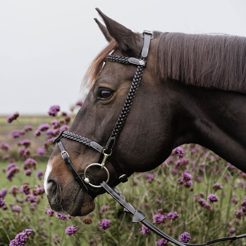 Dy'on Working Collection Plaited Training Bridle 1 Working Collection Plaited Training Bridle