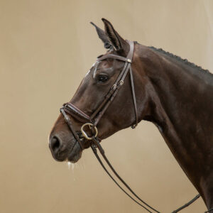 Working Patent Large Crank Noseband Bridle With Flash
