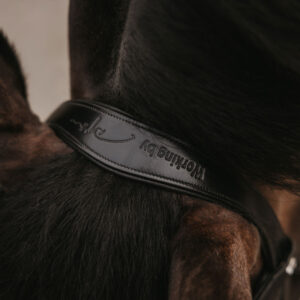 Working Patent Large Crank Noseband Bridle With Flash