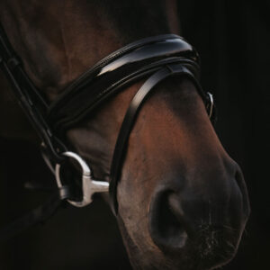 Working Patent Large Crank Noseband Bridle With Flash