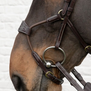 Elastic Hybrid Noseband Bridle