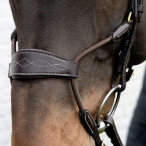 Elastic Hybrid Noseband Bridle