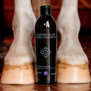 Grooming Deluxe Almond Gloss Purple Shampoo