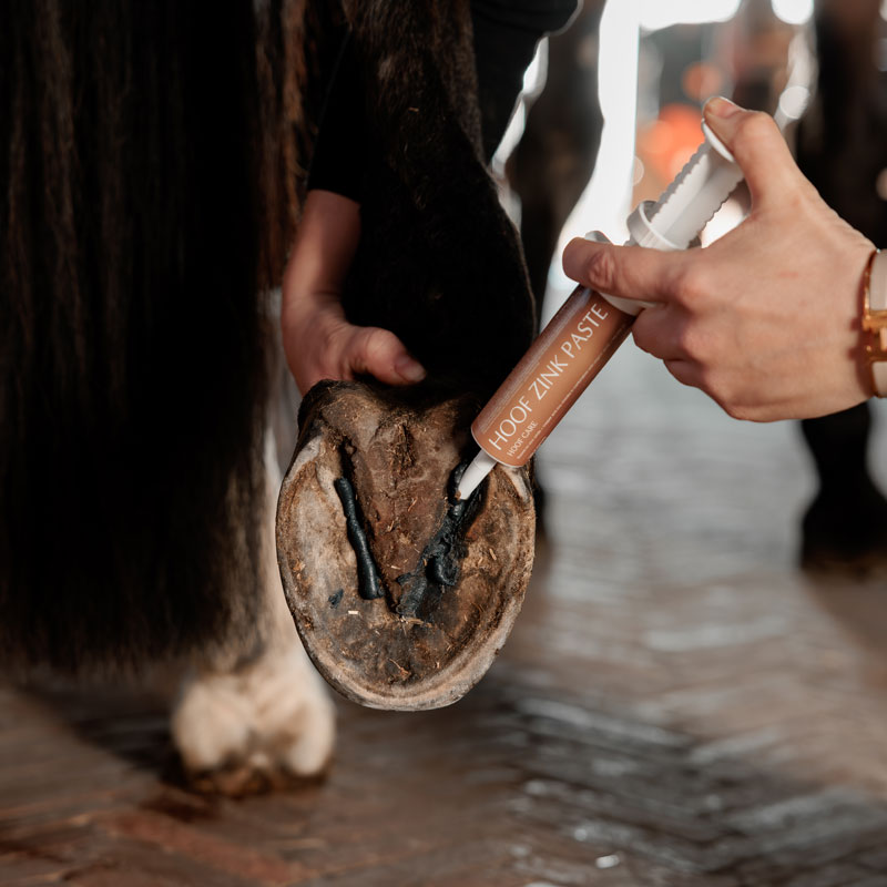 Grooming Deluxe Equi Hoof Zinc Paste 1 Equi Hoof Zinc Paste