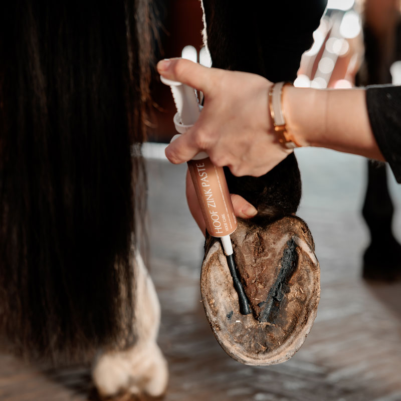 Grooming Deluxe Equi Hoof Zinc Paste 3 Equi Hoof Zinc Paste