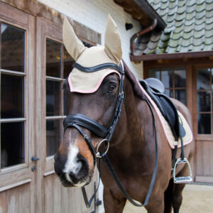 Fly Veil Wellington Softshell