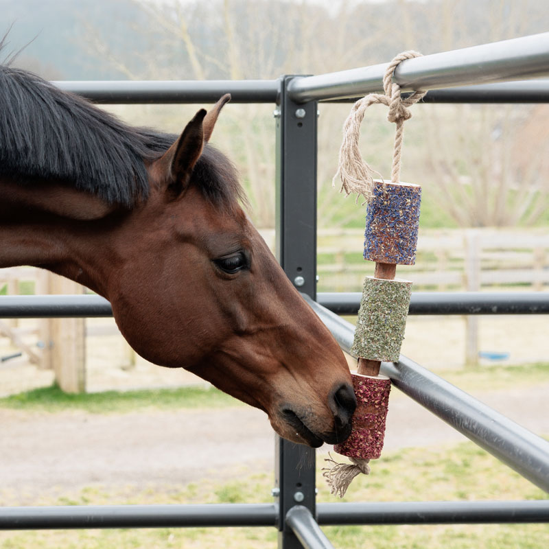 Wooden Relax Horse Toy - Freedom 2 Wooden Relax Horse Toy - Freedom - Image 2