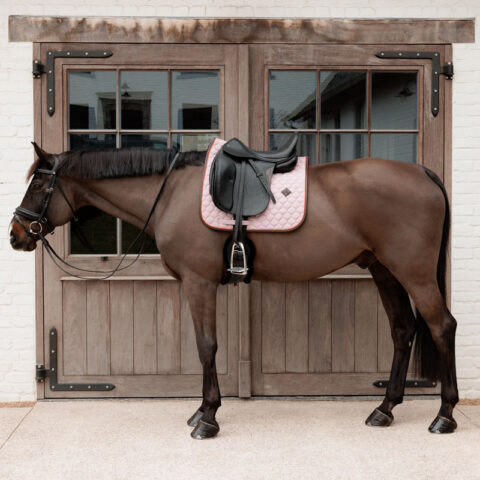 Kentucky Saddle Pad Onion Quilt Neon Leather