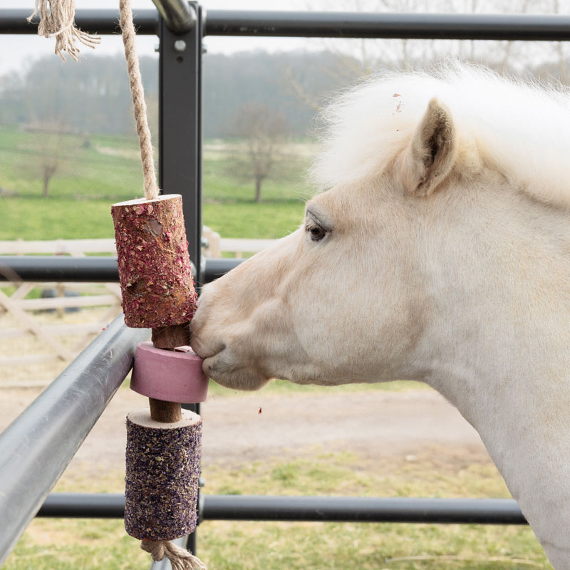 Wooden Relax Horse Toy with Salt Lick - Sammy 1 Wooden Relax Horse Toy Sammy