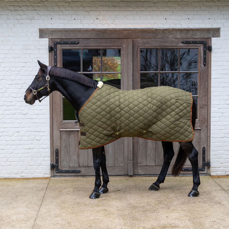 Kentucky Horsewear Stable Rug Wave 160g 2 Kentucky Horsewear Stable Rug Wave 160g - Image 2