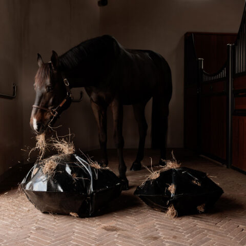 Play & Haybag Slowfeeder