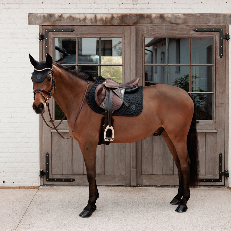 Kentucky Horsewear Sparkling Jumping Saddle Pad 3 Kentucky Horsewear Sparkling Jumping Saddle Pad - Image 3