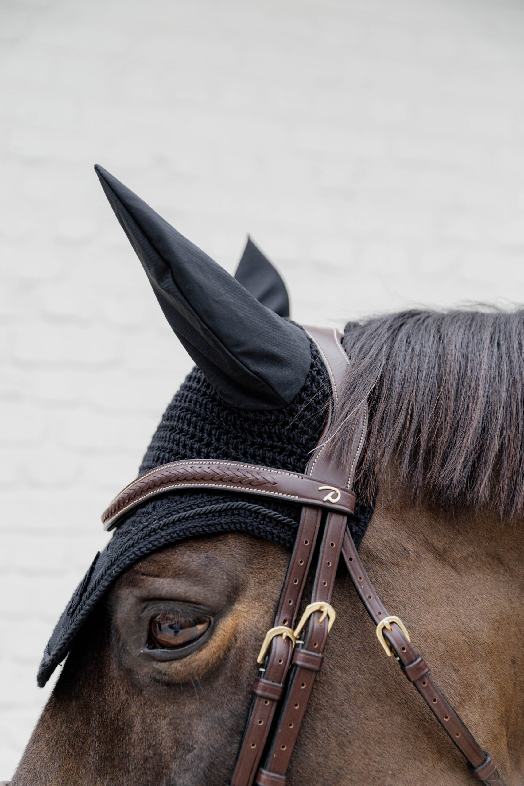 Dy'on Plaited Flash Noseband Bridle with Pull Back 2 Dy'on Plaited Flash Noseband Bridle with Pull Back - Image 2