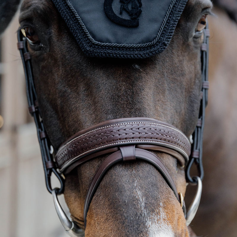 Dy'on Plaited Flash Noseband Bridle with Pull Back 3 Dy'on Plaited Flash Noseband Bridle with Pull Back - Image 3