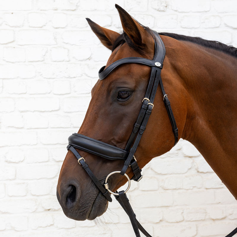 Dy'on Soft Leather Bridle Medium Noseband 2 Dy'on Soft Leather Bridle Medium Noseband - Image 2