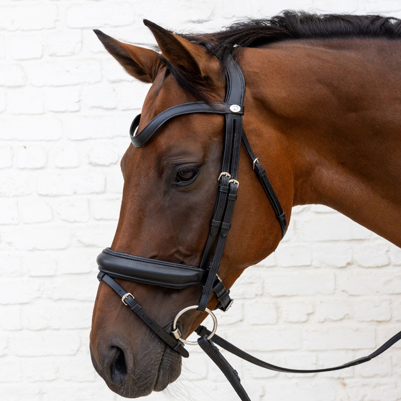 Dy'on Soft Leather Bridle Medium Noseband 1 Dy'on Soft Leather Bridle Medium Noseband