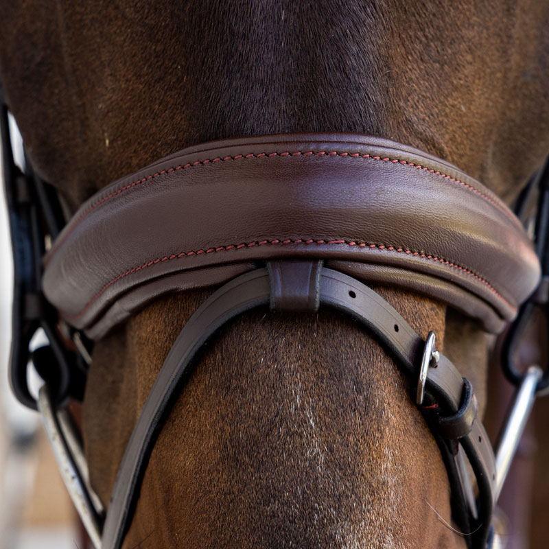 Dy'on Soft Leather Bridle Medium Noseband 4 Dy'on Soft Leather Bridle Medium Noseband - Image 4