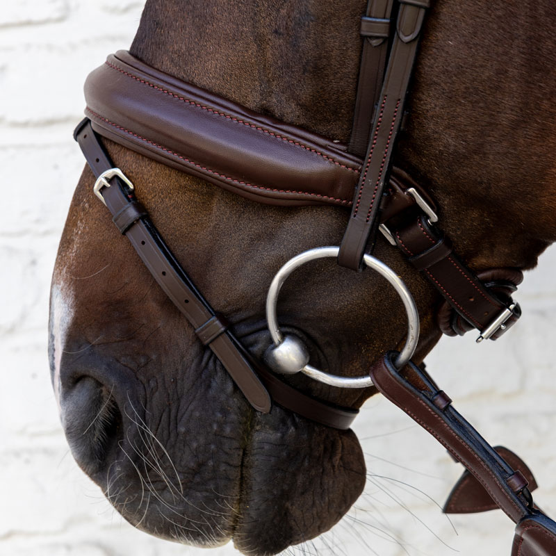 Dy'on Soft Leather Bridle Medium Noseband 5 Dy'on Soft Leather Bridle Medium Noseband - Image 5