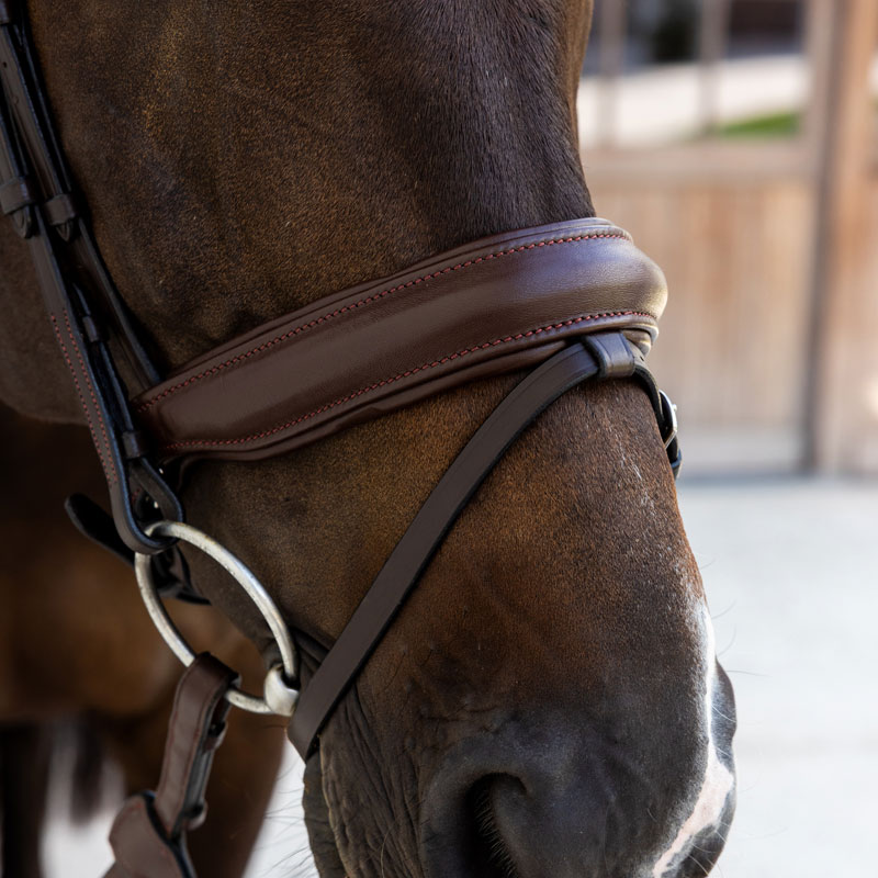 Dy'on Soft Leather Bridle Medium Noseband 3 Dy'on Soft Leather Bridle Medium Noseband - Image 3