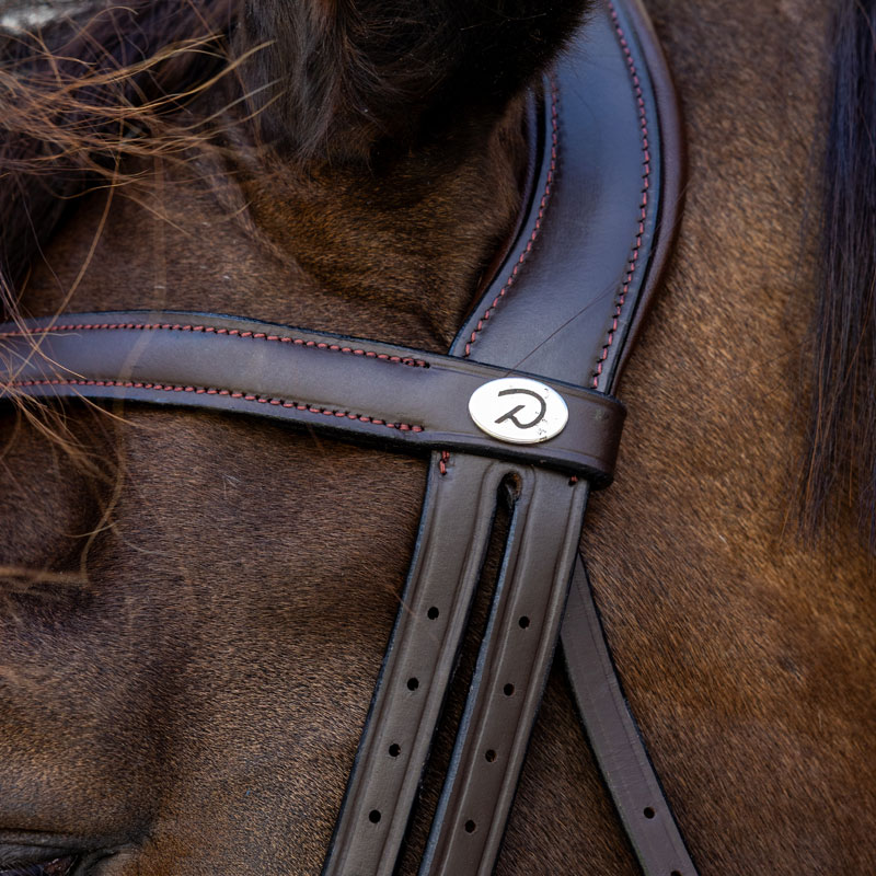 Dy'on Soft Leather Bridle Medium Noseband 6 Dy'on Soft Leather Bridle Medium Noseband - Image 6