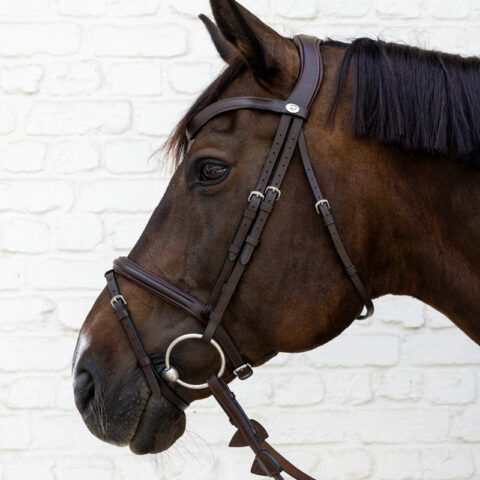 Dy'on Soft Leather Flash Noseband Bridle