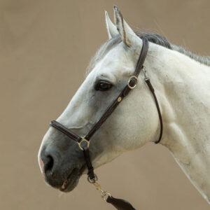 Dy'on Leather Grooming Halter WO09B Brown