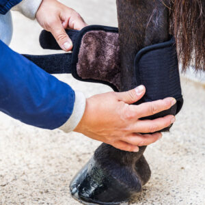 Eventing Boots 3D Air Flow Skin Friend Hind Short