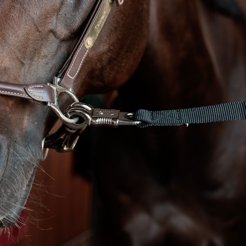 Horse Box Lead & Cross Ties Safety 2 Horse Box Lead & Cross Ties Safety
