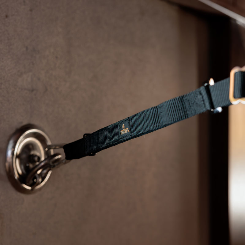 Horse Box Lead & Cross Ties Safety 3 Horse Box Lead & Cross Ties Safety