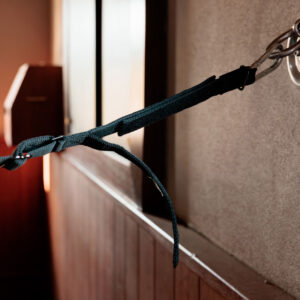 Horse Box Lead & Cross Ties Safety