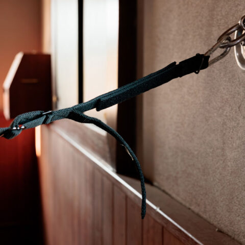 Horse Box Lead & Cross Ties Safety