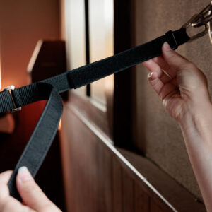 Horse Box Lead & Cross Ties Safety