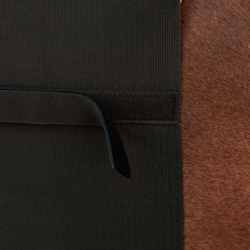 Kentucky Horsewear Belly Band Horse 2 Kentucky Horsewear Belly Band Horse