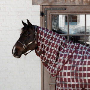 Neck All Weather Waterproof Comfort Bordeaux 52217-02-17