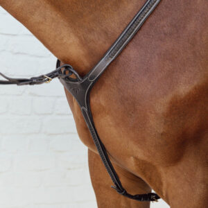 Plaited Bridge Breastplate