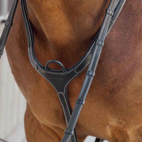 Plaited Bridge Breastplate