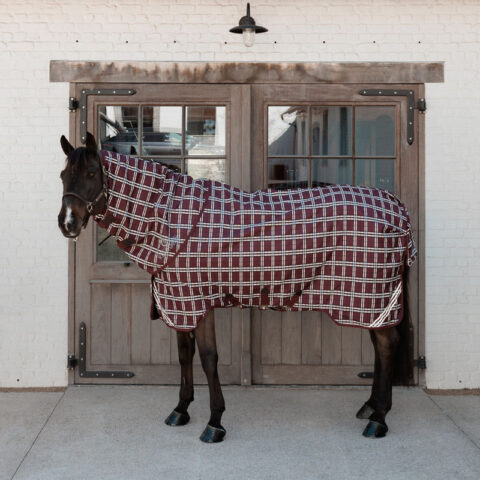 Turnout Rug All Weather Waterproof Comfort Bordeaux 52191-02-17