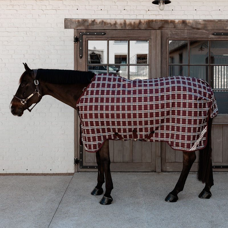 Turnout Rug All Weather Waterproof Comfort Bordeaux 1 Turnout Rug All Weather Waterproof Comfort Bordeaux 52191-02-17