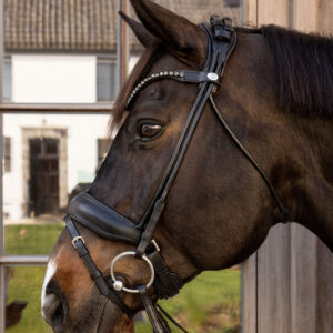 Working Collection ComfoHead Bridle