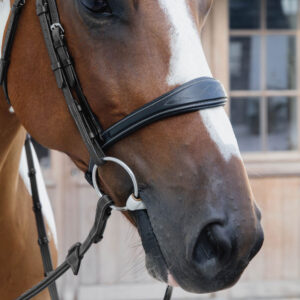 US Collection Anatomic Noseband without Flash